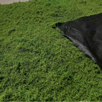Musgo artificial de 1x1m para artesanato, grama artificial, musgo preservado, plantas verdes para decoração de casa, quarto, jardim e paisagismo